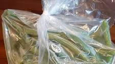 congélation haricots verts