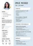 qualité cv