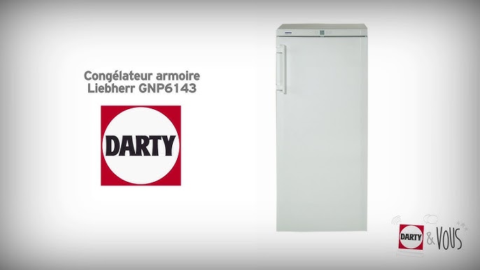 congélateur darty armoire