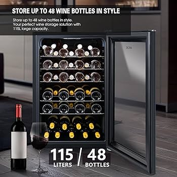 petit frigo à vin